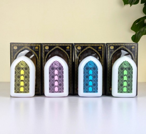 Exclusive plug in Quran